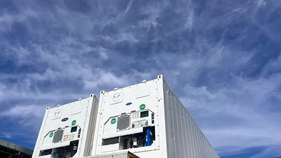 Contenedores Reefer Prime Line blancos contra el cielo — equipos Carrier